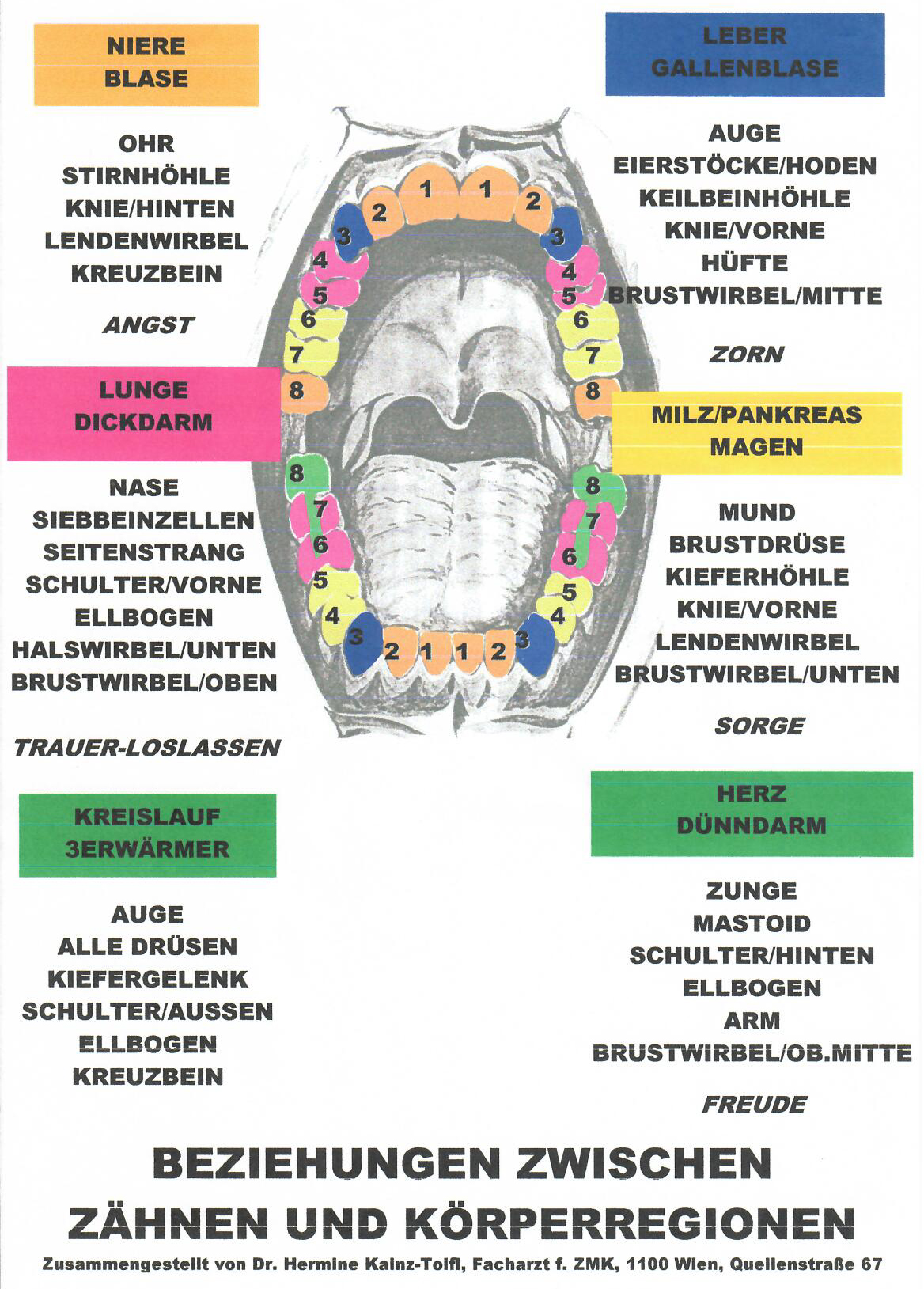 Ganzheitliche Zahnmedizin / Naturheilkunde